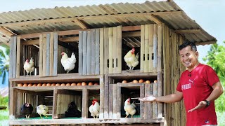 Our FreeRange Chickens Won't Stop Laying Eggs! Do This When You Get New Chickens for the Farm!