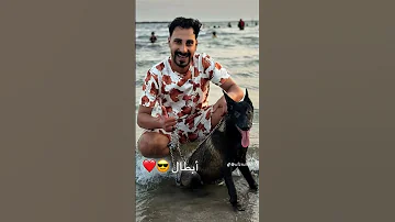 عاصم هنيدي مهرجان مالينو اكسبلور المراه حمزه المبدع مهرجانات كلاب النظافه تيك توك البخل 