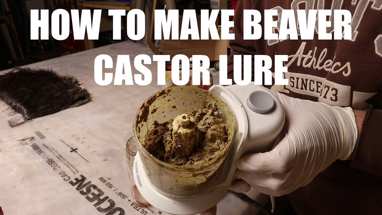 How To Make Beaver Castor Lure