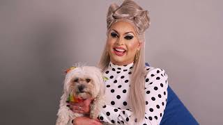 Battersea Rescues Meet: Drag Queens by Battersea Dogs and Cats Home 5,904 views 1 year ago 3 minutes, 42 seconds
