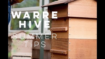 Warre Hive Summer Tips