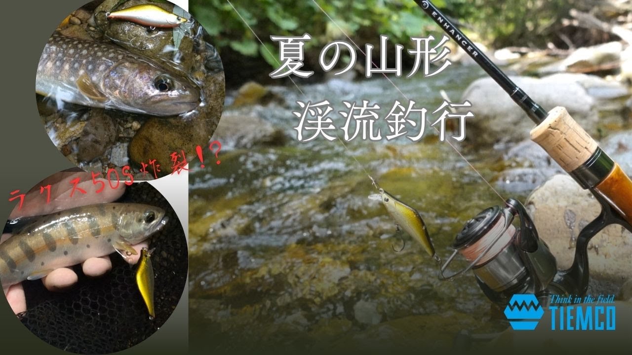【トラウトルアー】ラクス50S炸裂!? 夏の山形渓流釣行