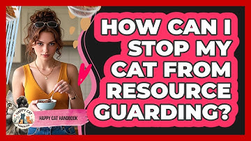 How Can I Stop My Cat From Resource Guarding? - Happy Cat Handbook