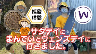 遊び場⁂まんでい採蜜体験からのウェンズデイでスケボー購入♪養蜂チャレンジ(Vol.14)