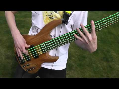 animals-as-leaders---cafo-(bass-cover)