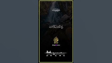 تلاوة تأخذك لعالم من السكينة والطمأنينة 💙🕊️ #القرآن_الكريم #عبدالله_مصطفى