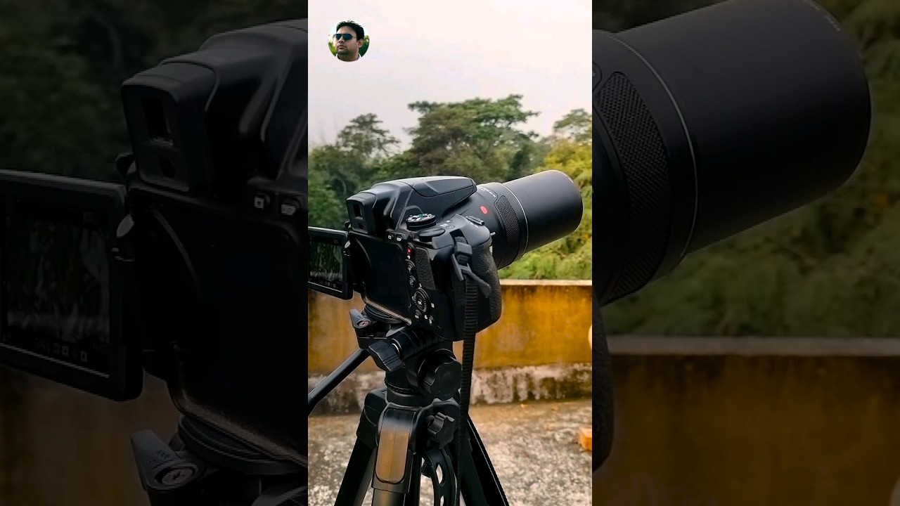 Indian Woodpecker 🔥 Bird Photography 