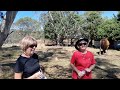 Jo Parker and Paula Trezise chat with Brumbies at Nimmitabel 10th March 2024