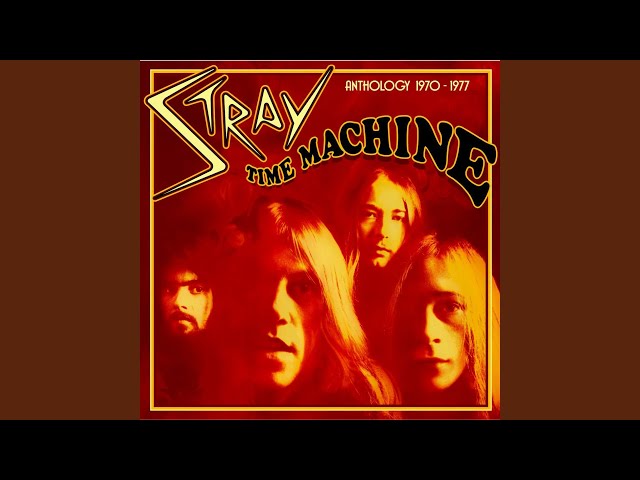 Stray - Time Machine