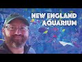 New england aquarium tour in boston giant ocean tank penguins sea lions  more