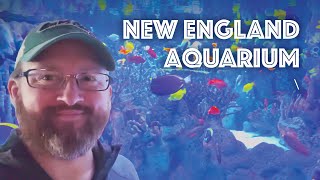 New England Aquarium Tour in Boston (Giant Ocean Tank, Penguins, Sea Lions & More)