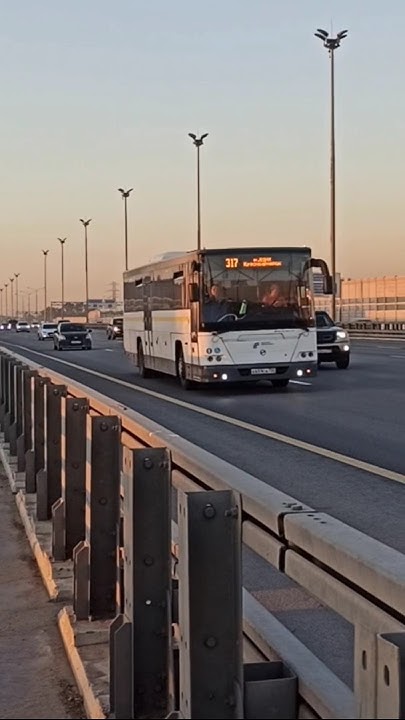 Автобус 317 (Красноармейск/Москва) / ЛИАЗ 5250, Вояж, 2018 г ...