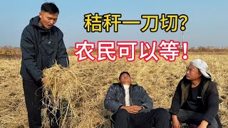 秸秆不烧满地是草，环境就好嘛？