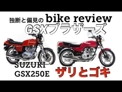 SUZUKI GSX250E T ザリ ゴキ-