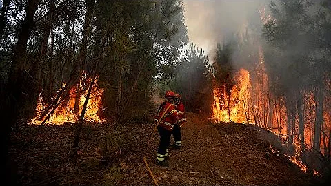 Portuguese firefighters continue to battle wildfires - DayDayNews