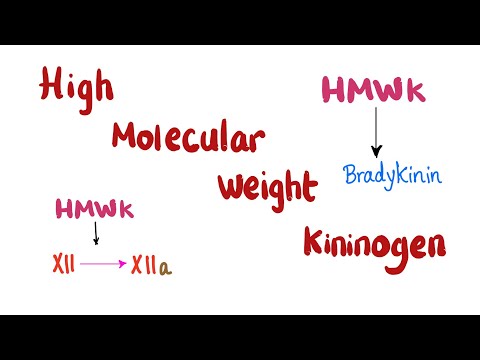 Video: Kallikreiiniga Seotud Peptidaas 12 (KLK12) MRNA Ekspressiooni Prognostiline Väärtus Kolmekordse Negatiivse Rinnavähiga Patsientidel