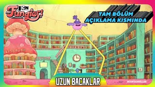 Mantargiller | Uzun Bacaklar | Kısa Sahneler Resimi