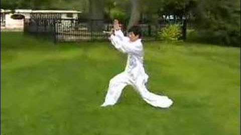 Ba Gua Zhang Swimming Dragon