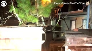 WEB EXTRA: Dumpster Diving