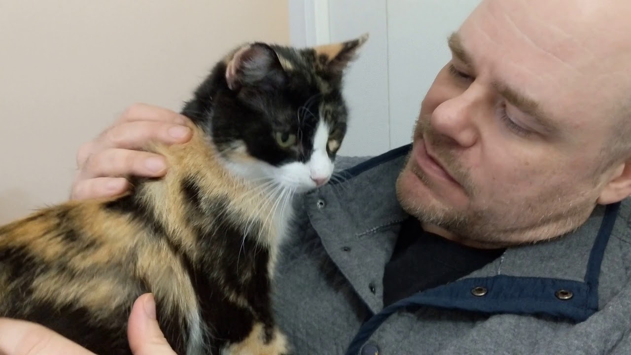 Tempest's Tantrums 2019-03-26