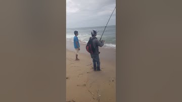 câu cá chim sau Tết và cái kết...