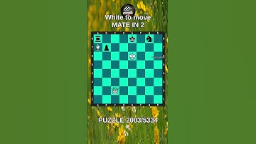 Chess puzzle series 🧩2003/5334 #chess #puzzle #learnchesstactics #magnuscarlsen #polgar #chessbooks