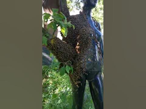 Рой и маникен. - YouTube