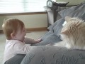 Baby and her cat boxing