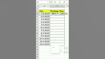 TEXT Function in Excel Tutorial #excel #shortcutkeys #excelshortcuts #exceltips #excellearning