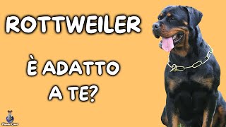 Rottweiler: Cosa Sapere