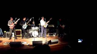 Amapola The Spotnicks at Fuzz Guitarshow 2011 chords