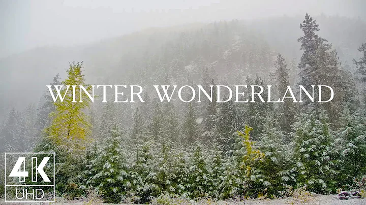 10 HOURS of Snow Falling on Forest Trees - 4K TV Screensaver with Wintertime Scenery