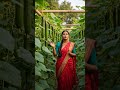 😳🥒 पूरा खेत खीरे से भर गया 🔥 #Shorts #Viral #Trending #viral #farming #reels #viralreels #newreel