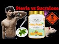 Is STEVIA Better than ARTIFICIAL SWEETENERS? Ripped Up Nutrition NATURAL WHEY Protein Review 🌿