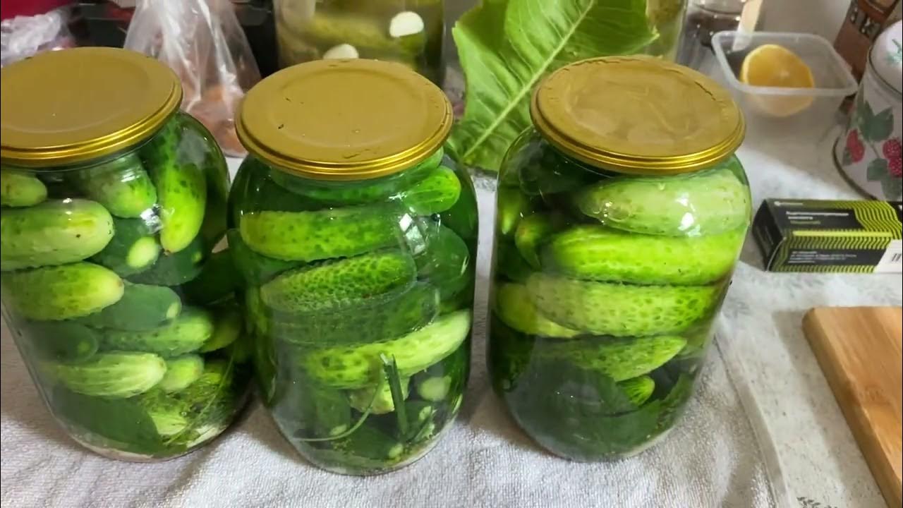 Рецепт огурцов кольцами на зиму. Закрутка огурцов. огурцы на зиму. огурцы зимой. огурцы на зиму рецепты.