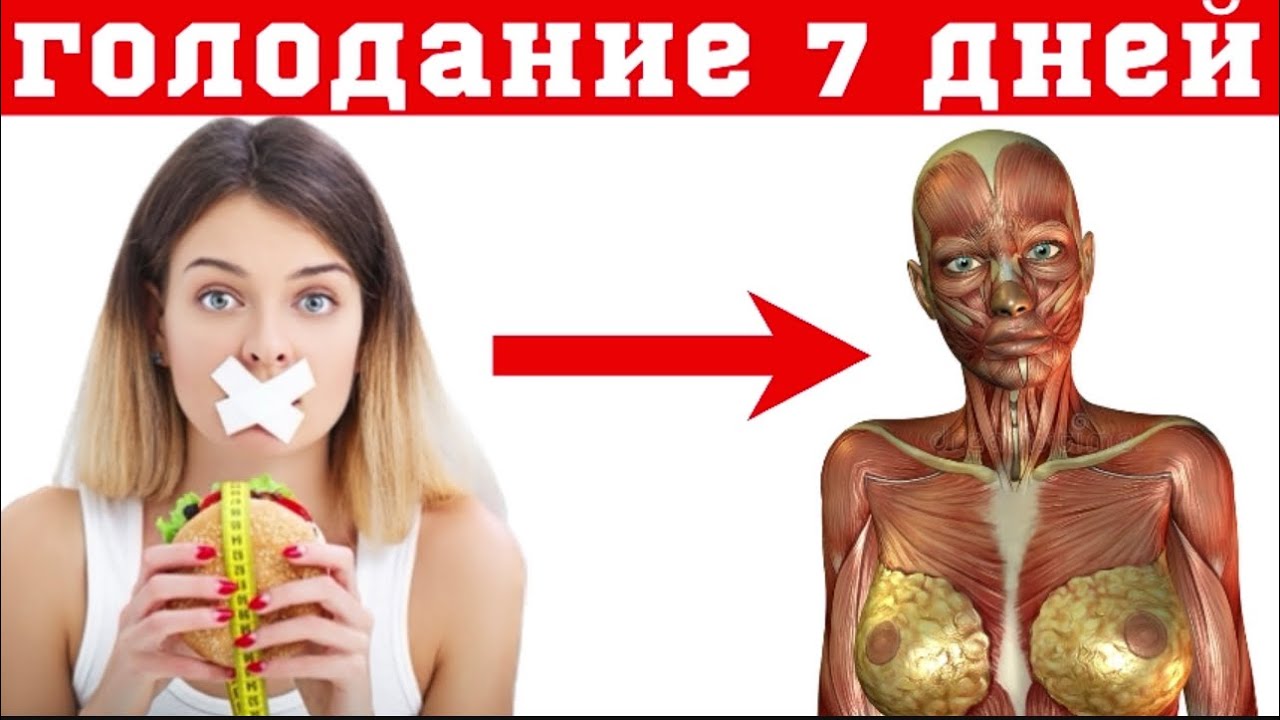 Голод 7 дней. Голодание 7 дней. Голод 7 дней что происходит в организме.