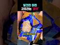 발견만 하면 자유의 몸이라는 돌멩이