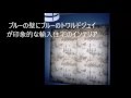 輸入住宅　オーダーカーテン　ブルーの壁にブルーのトワレ柄　川越市