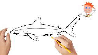 How to draw a shark | Easy drawings