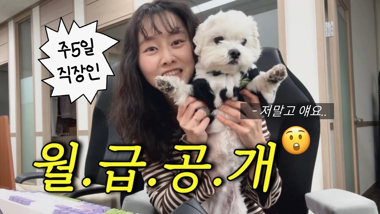 회사 다니는 강아지 월급 얼마일까 | 강아지랑 출근하는 직장인 브이로그ㅣ두피케어샴푸