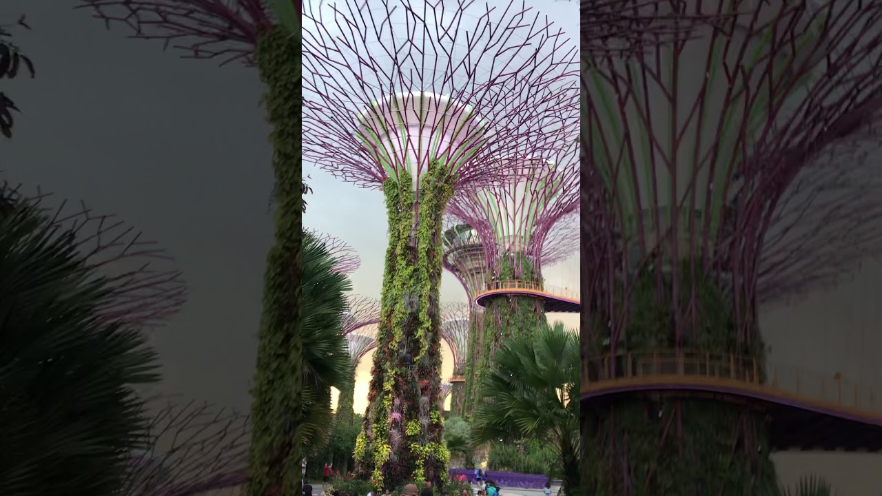 Gardens By The Bay - Singapore