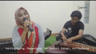 LAGU SUNDA - HARIRING KURING (ANI DARMINI)