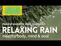 Raining forest with piano instrument for deep meditation natural sound