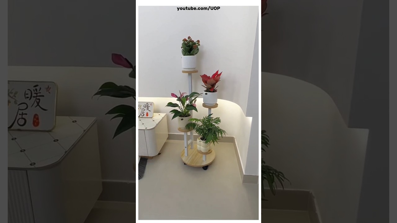 The Best One Table For Your Plants 🪴  | 