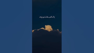 احمد العجمي - سورة التوبة|| قل لن يصيبنا إلا ما كتب الله لنا