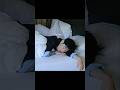 BTS staff doing the most difficult task to wake up Jungkook🤣😅