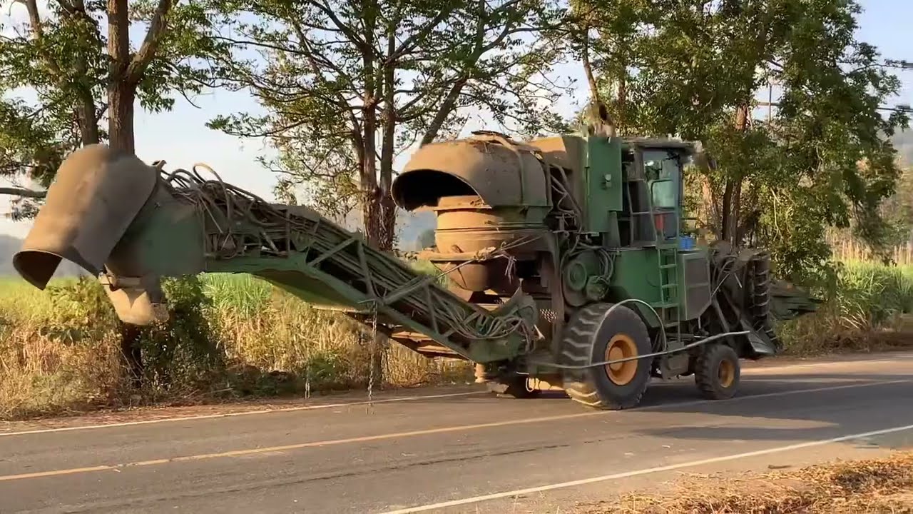 รถตัดอ้อยยักษ์ใหญ่โกโกวามาแล้ว/Giant sugar cane harvester/riesige Zuckerrohr-Erntemaschine