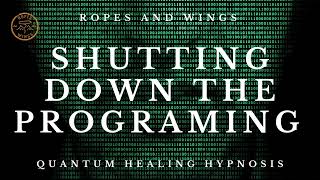 Shutting Down The Programming  Quantum Healing Hypnosis Session