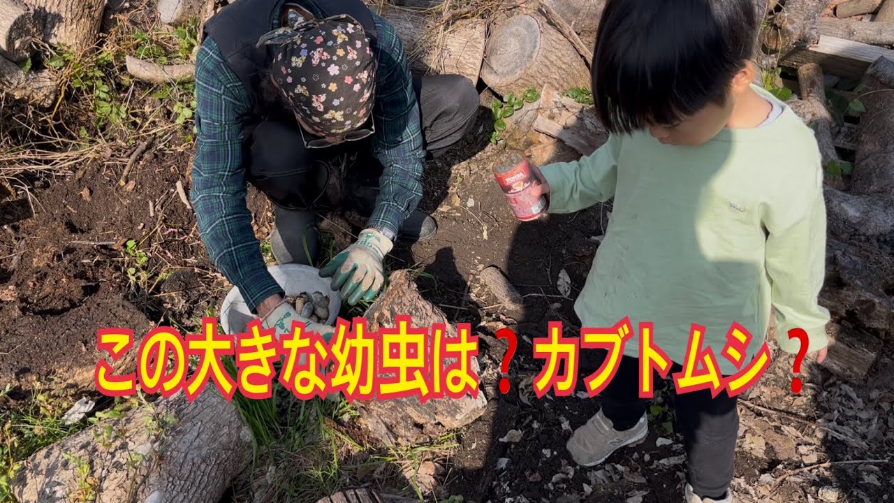 Ｖlog