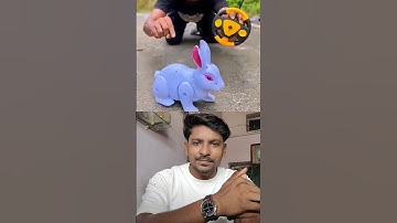 White rc horse & cute rabbit 🐇😍#rabbit #animals #shorts #toys #horse #unboxing #video